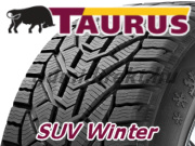 Taurus SUV Winter